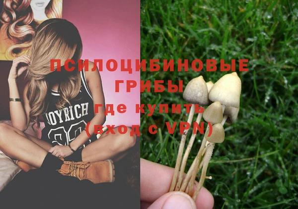 кокс Нягань